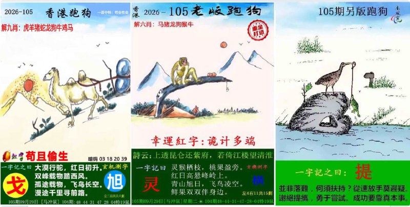 跑狗
