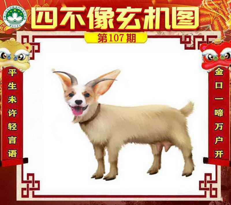 四不像四不像